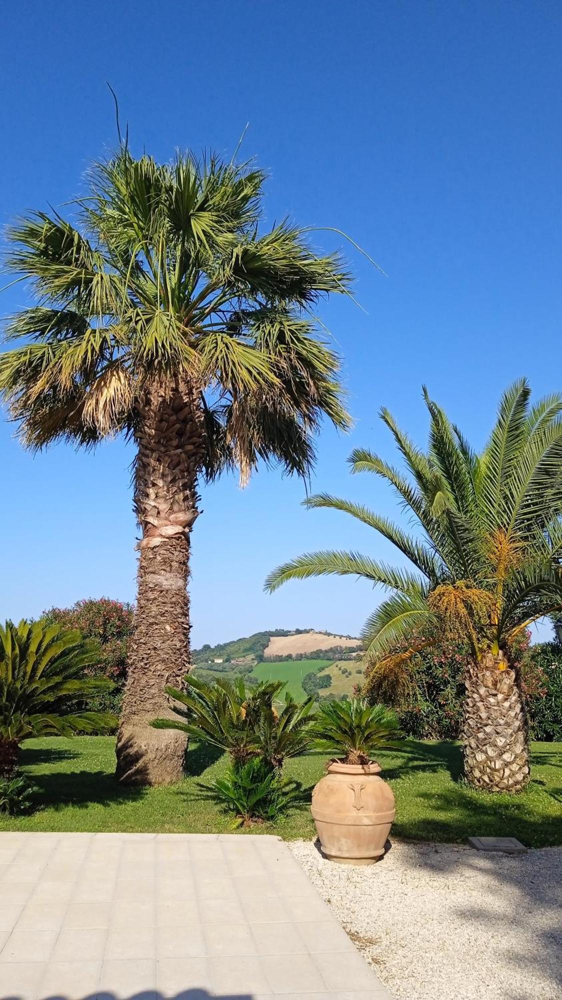 Villa Belvedere Degli Ulivi Озимо Екстериор снимка