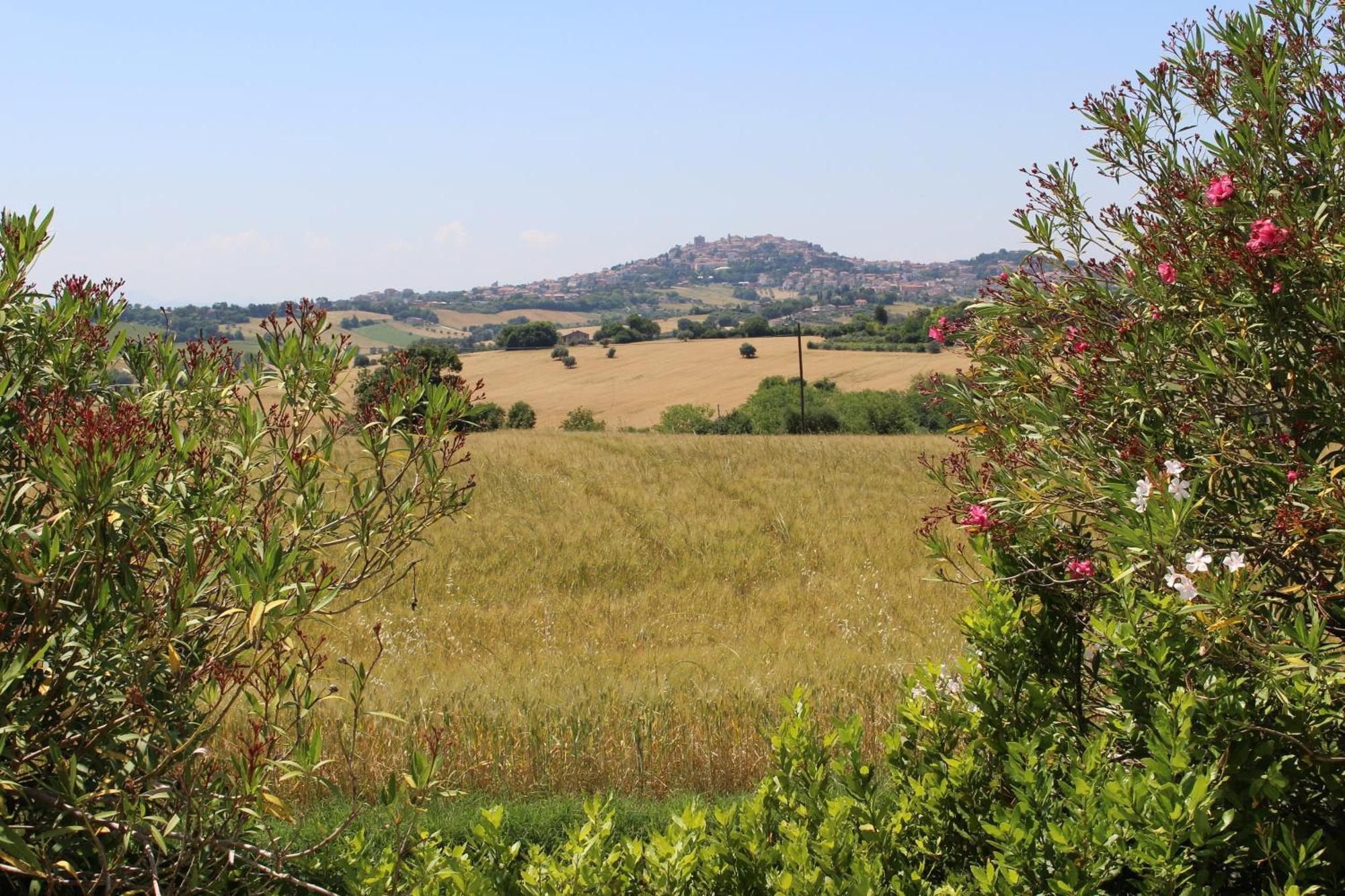 Villa Belvedere Degli Ulivi Озимо Екстериор снимка